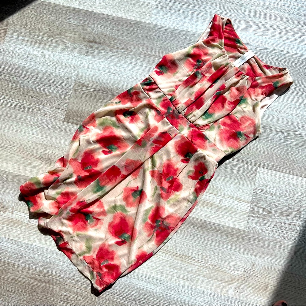 Zara dress